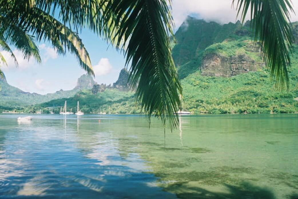 Cooks Bay Moorea