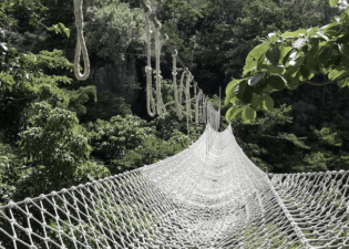 safety net 3