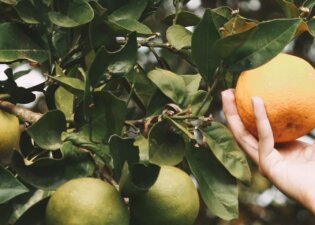 andres-dallimonti-3OSiYv09hhs-unsplash