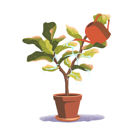 Self-watering plant